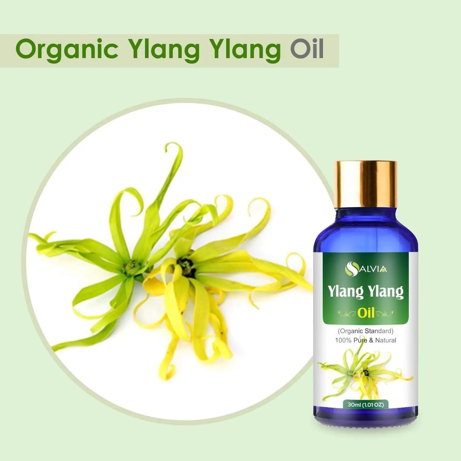 Salvia Organic Essential Oils Organic Ylang Ylang Essential Oil